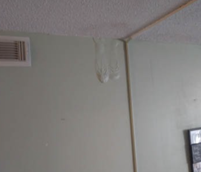 water disrupting paint on the wall of a florida home