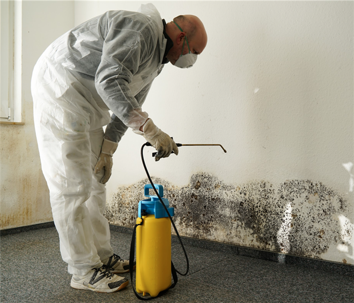 specialist in PPE combating mold in a building